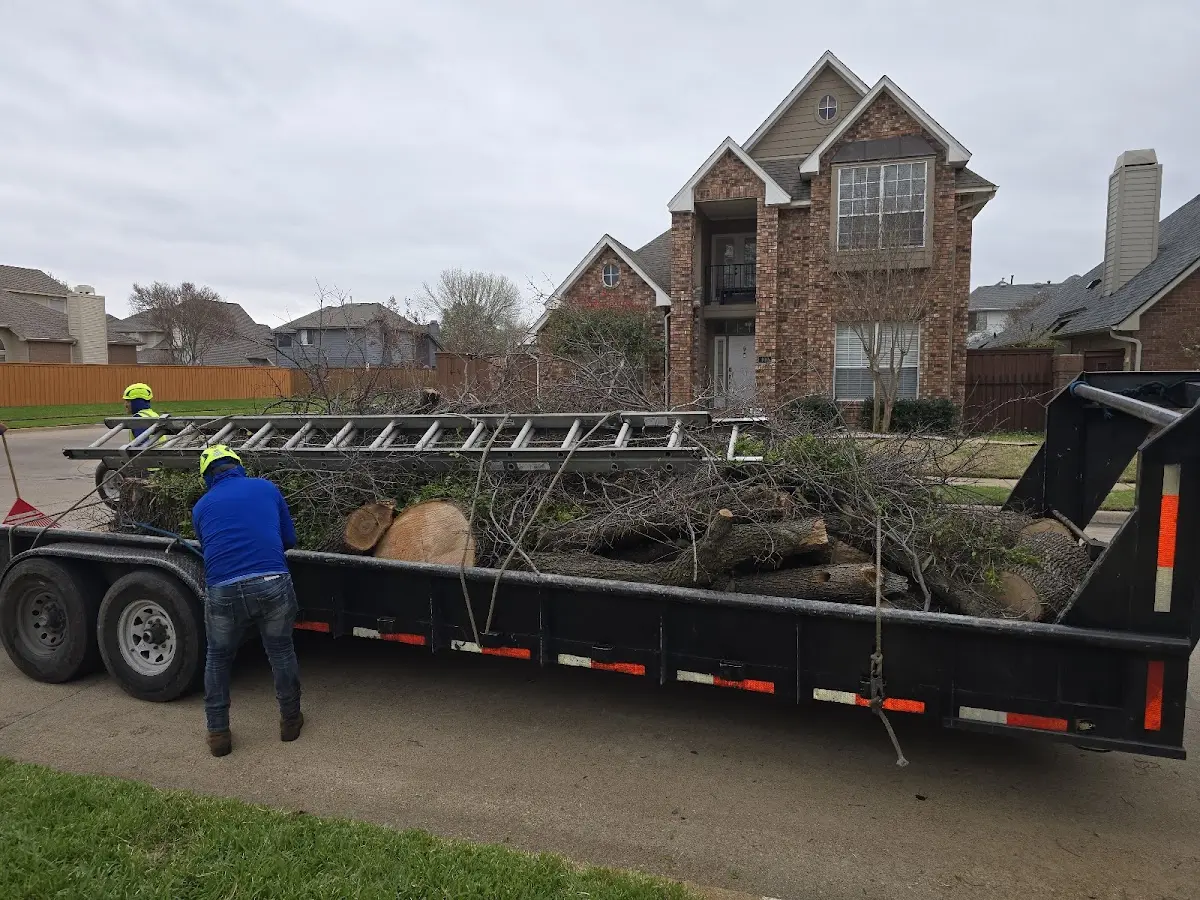 Expert Tree Fertilization with proper safety equipment in Cathlamet